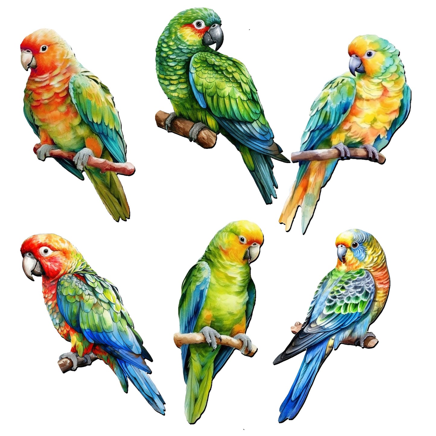 Parrots Decorative Wooden Magnets Set of 6 by G. Debrekht - Wildlife Decor - 8090013G-S6