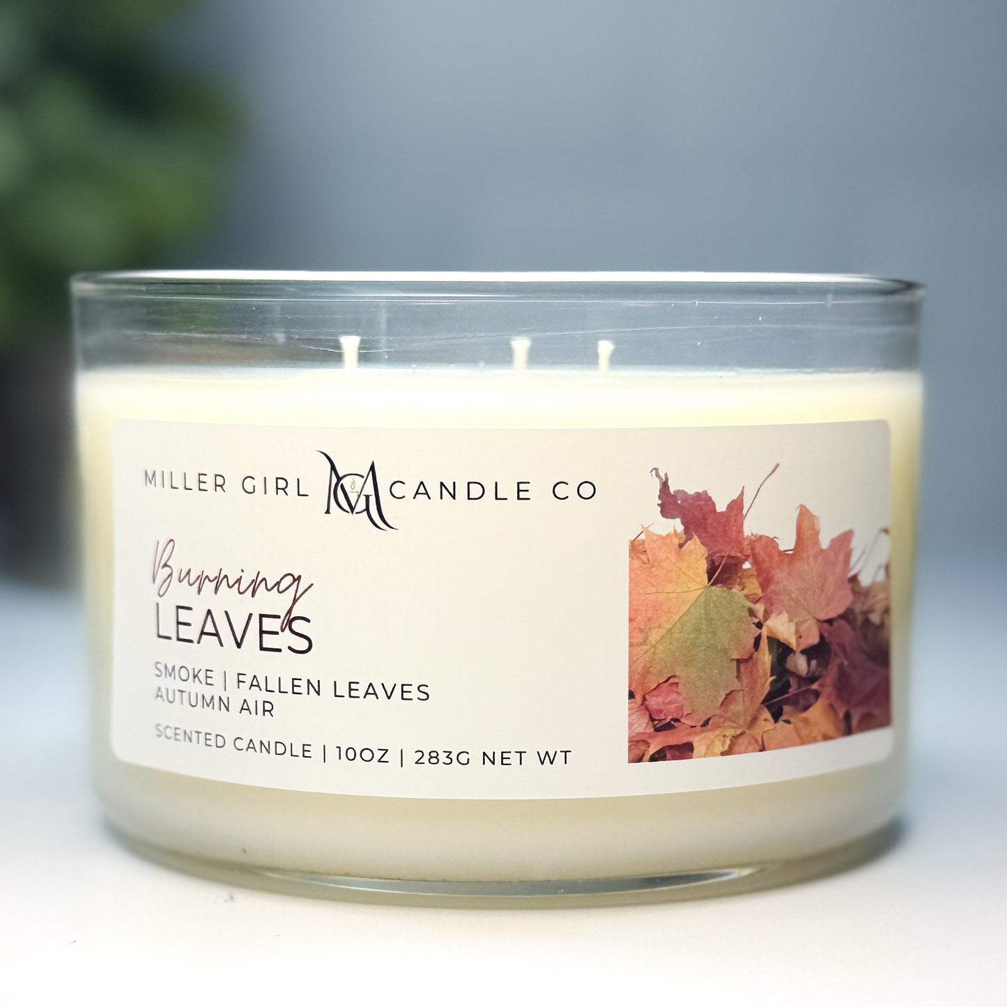 Burning Leaves | Candles + Wax Melts
