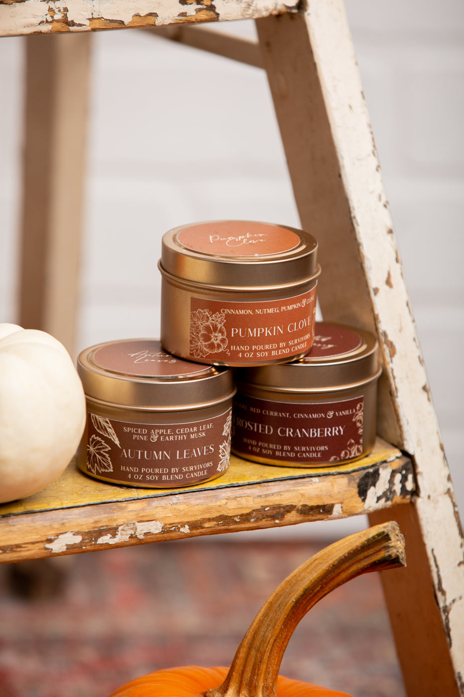 Frosted Cranberry Tin Candle