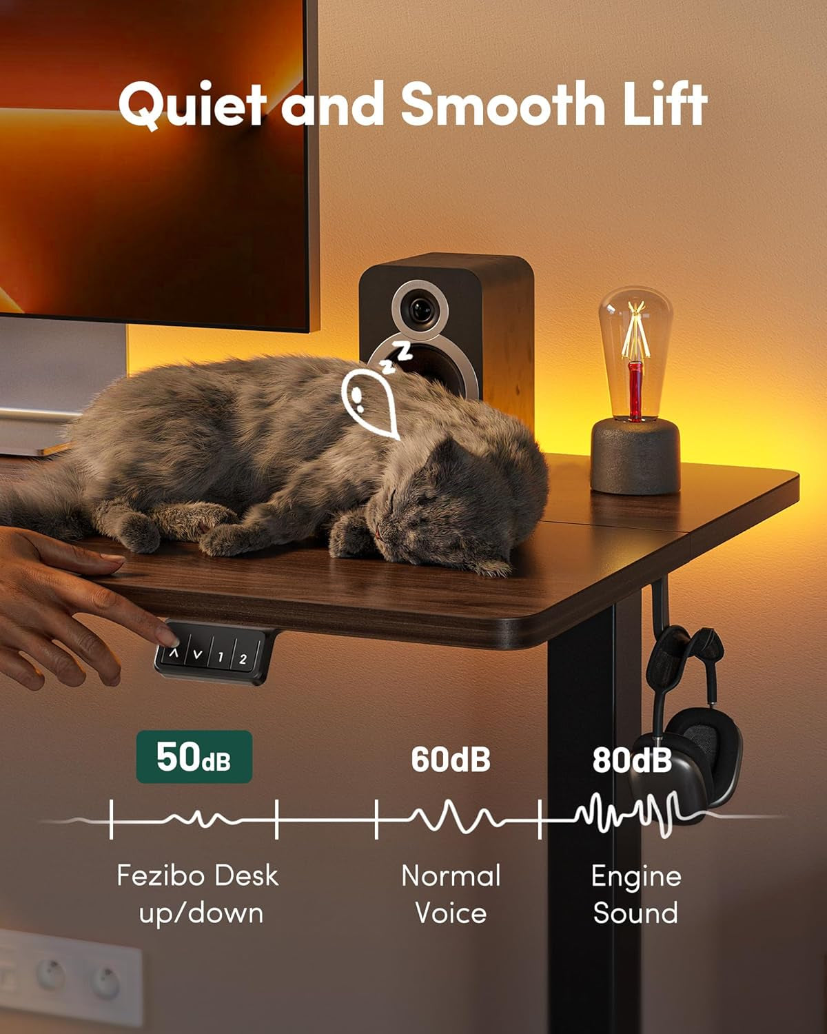 Electric Height Adjustable Standing Desk 55x24 Black Walnut