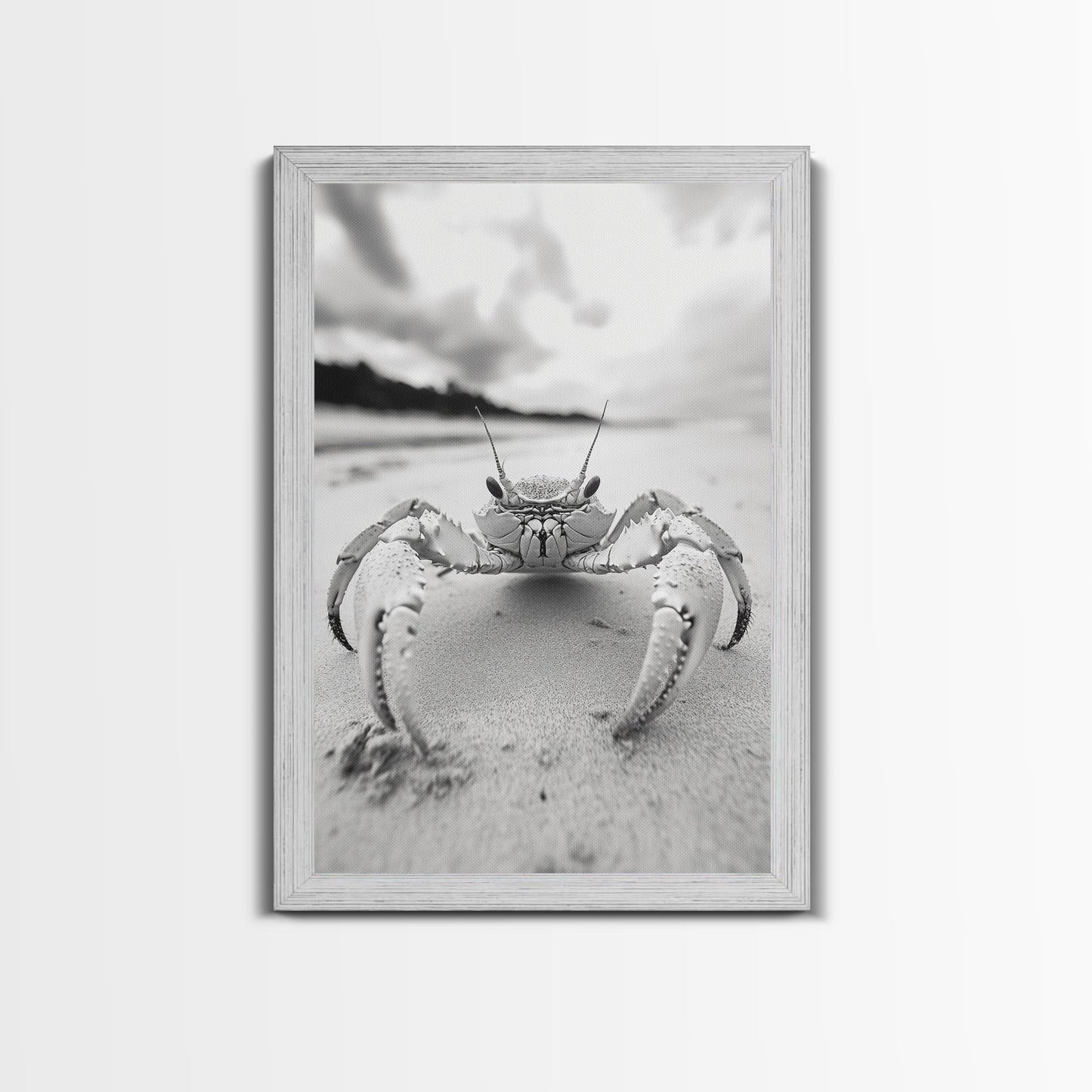 Beach Crab Portrait, Closeup Ocean Art, Tropical Minimalism, Coastal Creature Photo, Framed Canvas Print, Bathroom Wall Decor, Marine Decor