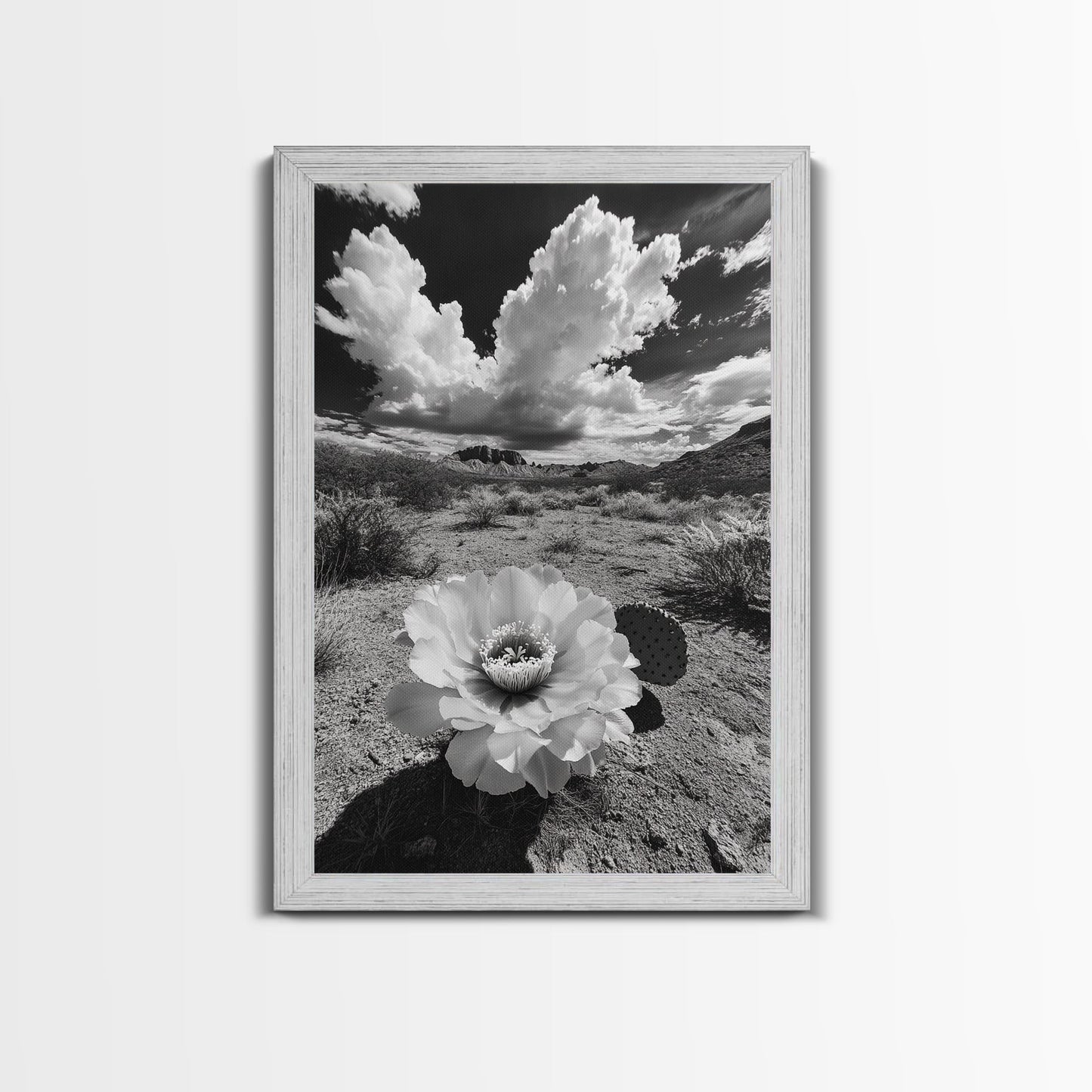 Desert Bloom, Cactus Flower, Bold Nature, Framed Canvas Print, Boho Wall Art, Southwestern Home Decor, Dramatic Desert Photography