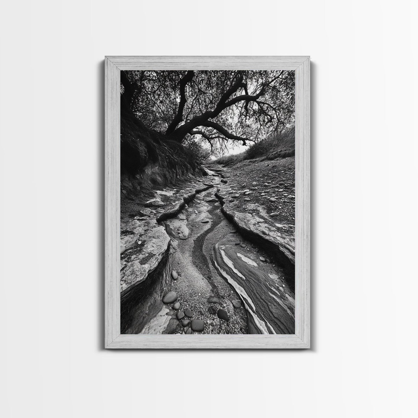 Dry Creek, Twisted Tree, Rocky Path, Framed Canvas Print, Moody Autumn Wall Art, Earthy Entryway Decor, Nature Texture Photography