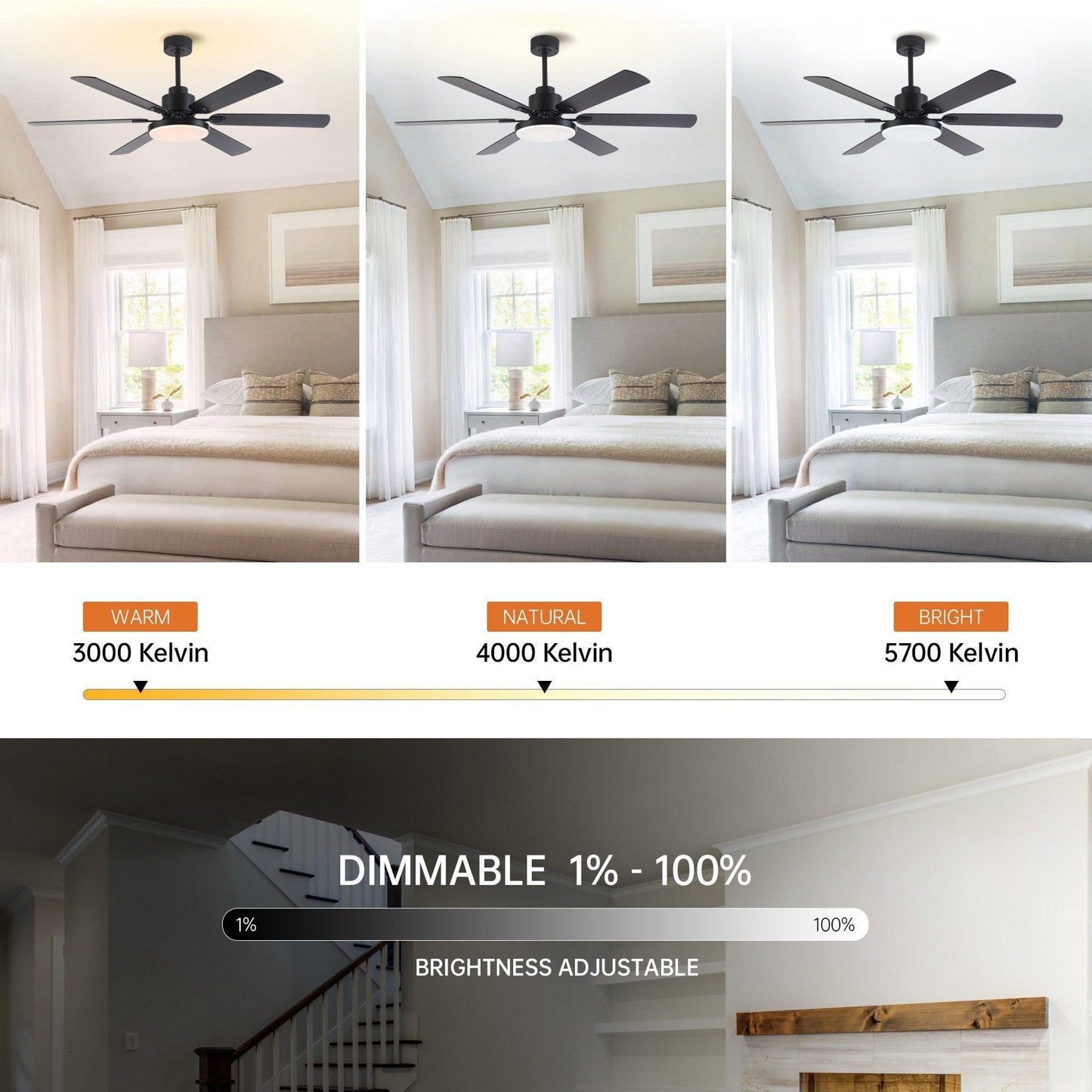 60" Modern DC Motor Downrod Mount Ceiling Fan With Lighting And Remote Control