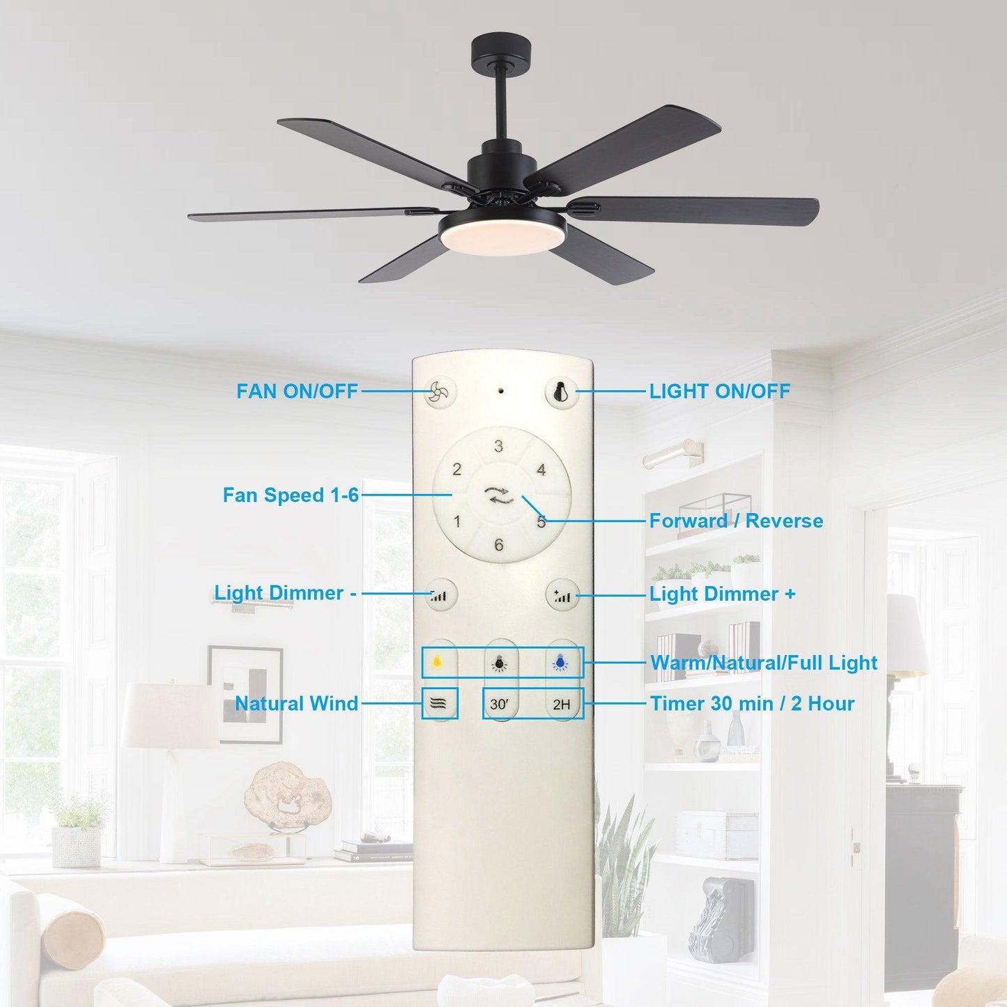 60" Modern DC Motor Downrod Mount Ceiling Fan With Lighting And Remote Control