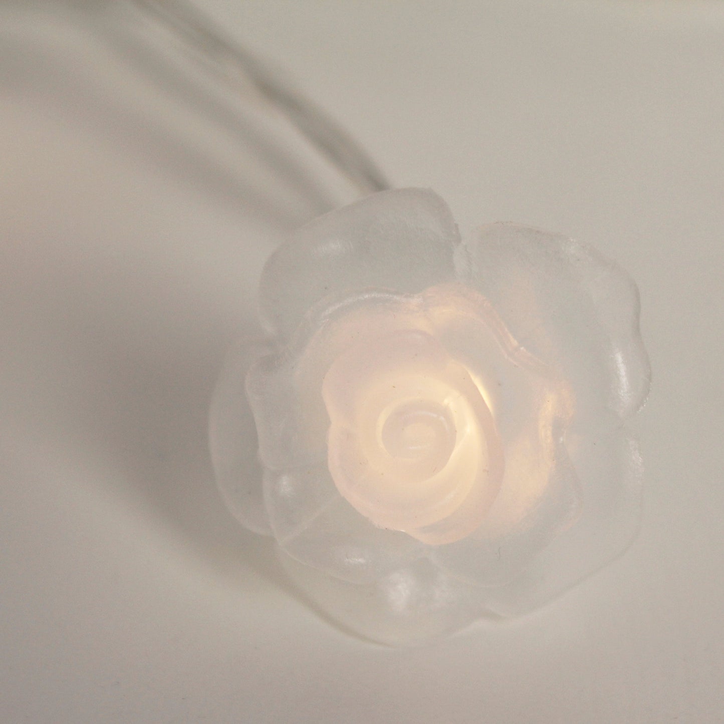 20 LED Lights Battery Operated with PVC Clear Rose - Warm White
