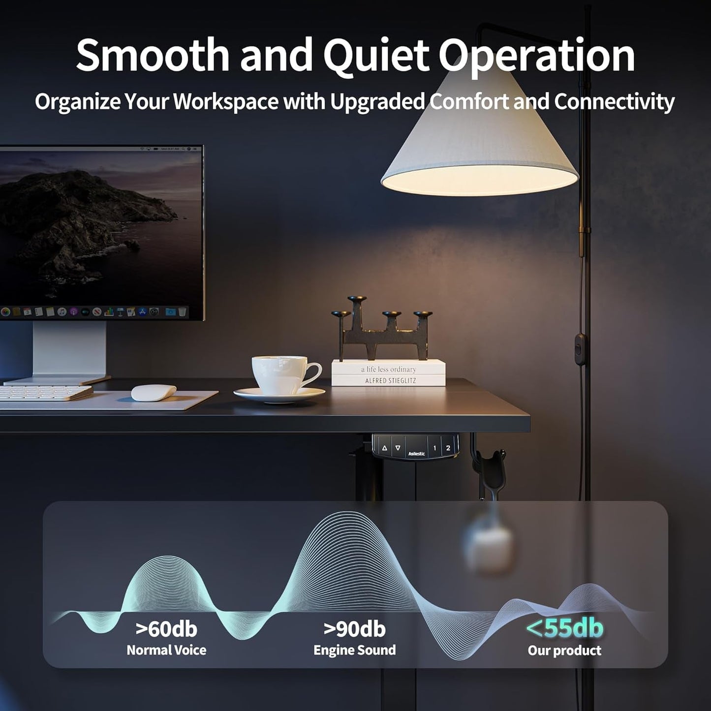 48 Inch Electric Standing Desk With Adjustable Height