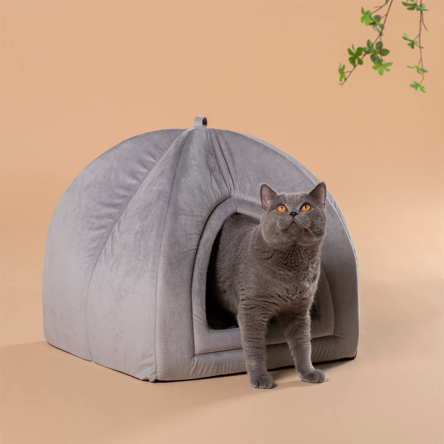 Kasentex Cat Bed, Lovely Tent with Removable Washable Pillow Cushion