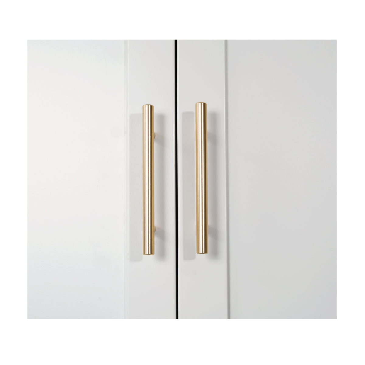 71'' 2 Shapely Doors Cabinet