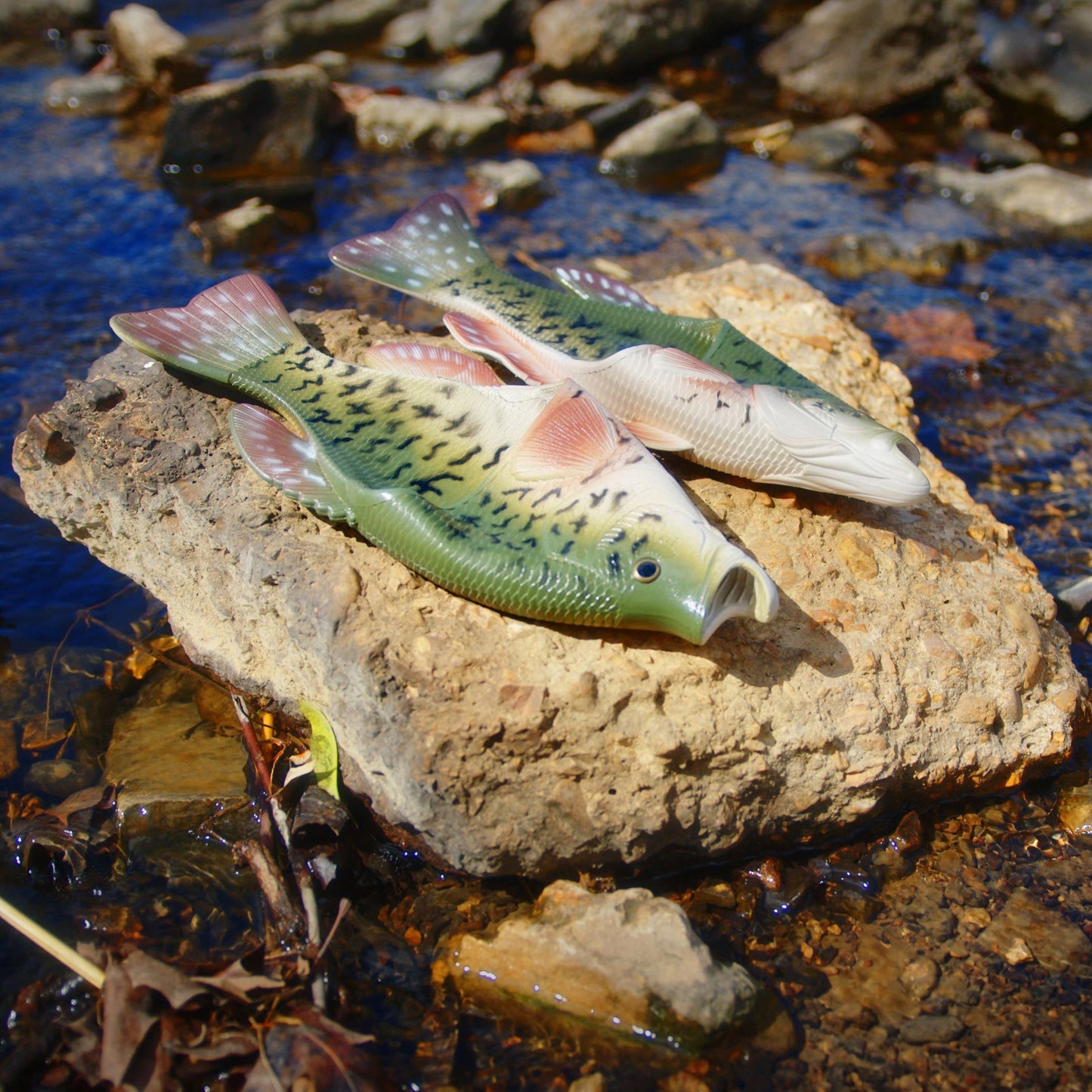 Fish Sandal Adult Large-Crappie