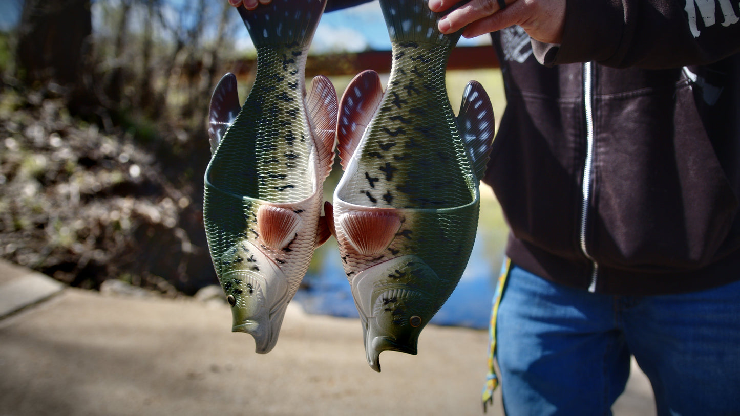Fish Sandal Adult Medium-Crappie