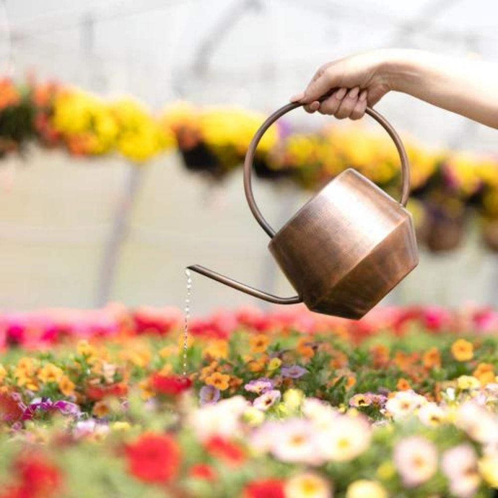 Iron Watering Can in Antique Copper Finish