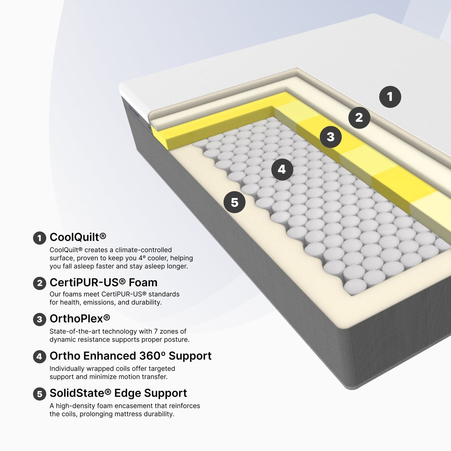 Continental II Medium