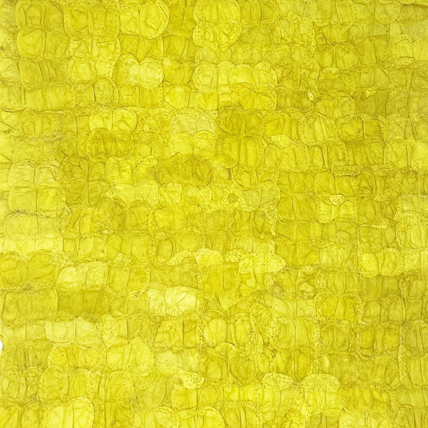 Mulberry Silk Charger (Pair) - Chartreuse