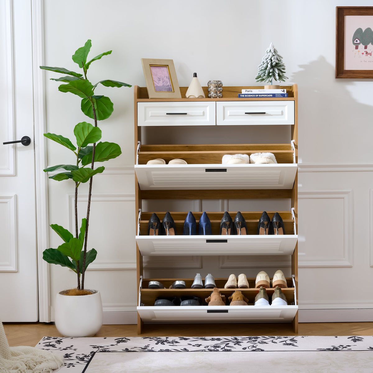 Narrow Shoe Storage Cabinet for Entryway