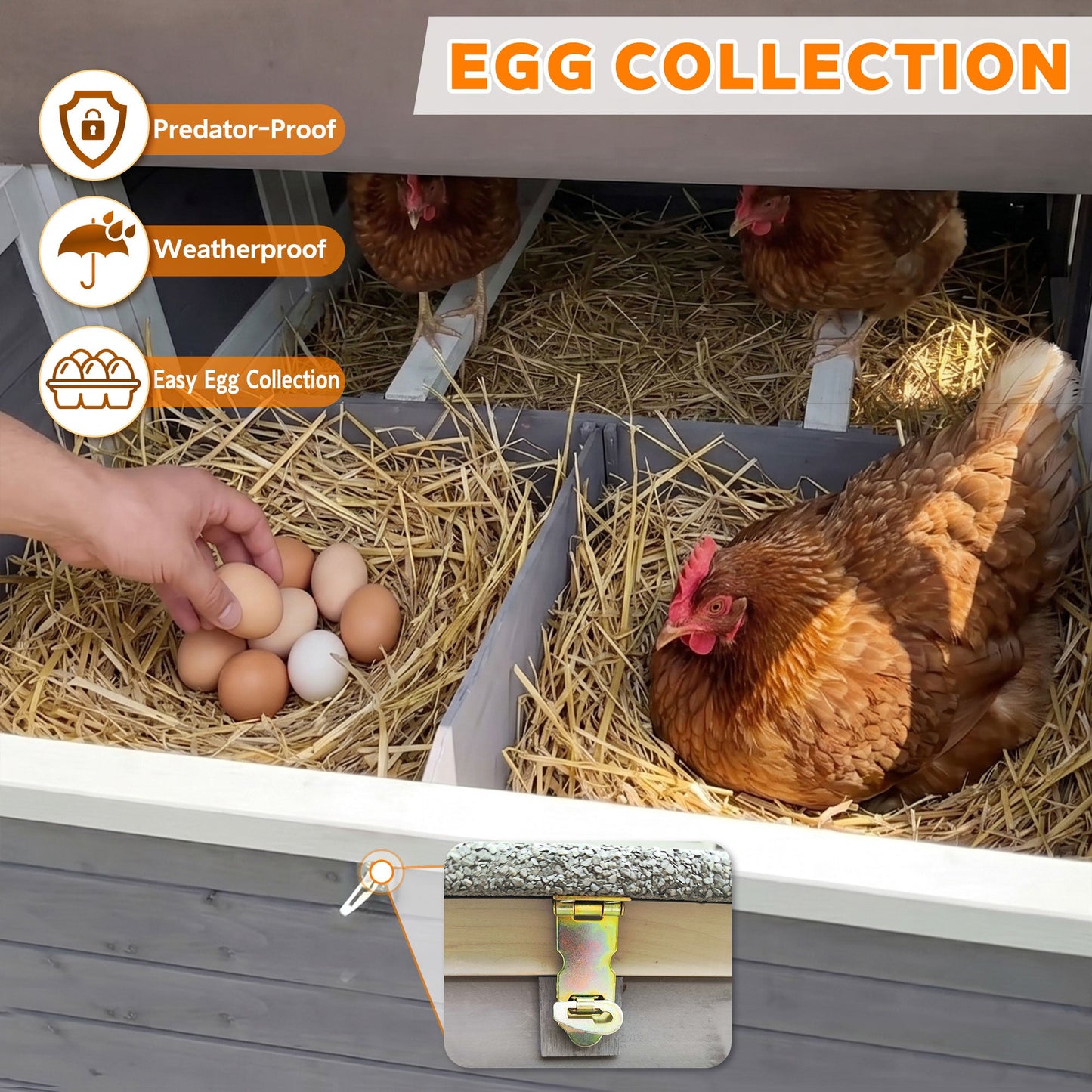 150" Extra Large Chicken Coop