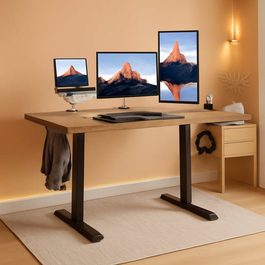 48x24 Inch Electric Standing Desk With Adjustable Height