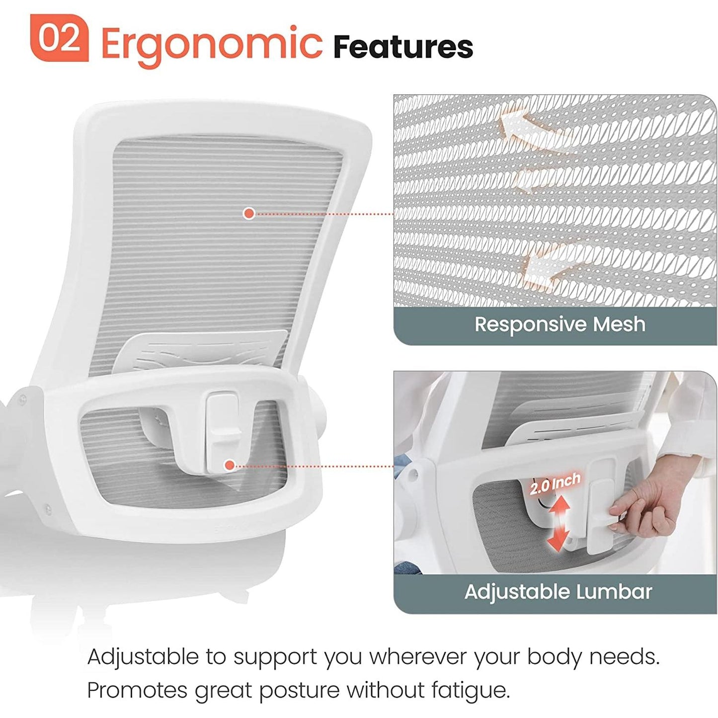 Ergonomic High Back Office Chair With Lumbar Support