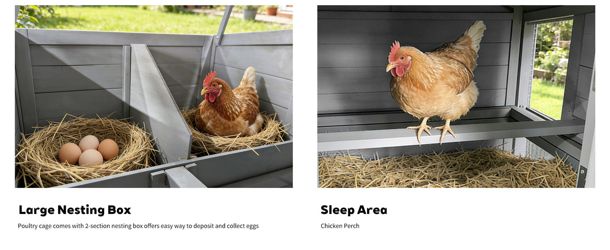141" Gray Large Wooden Chicken Coop