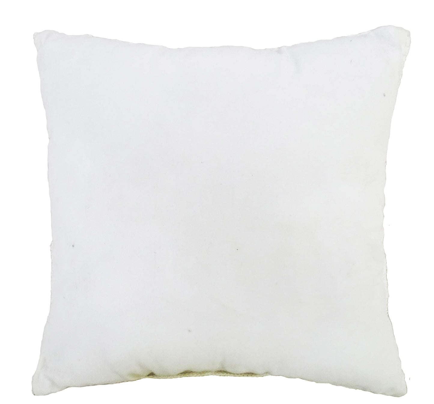 Decorative 18"x18" Outdoor Pillow for couch  (White)