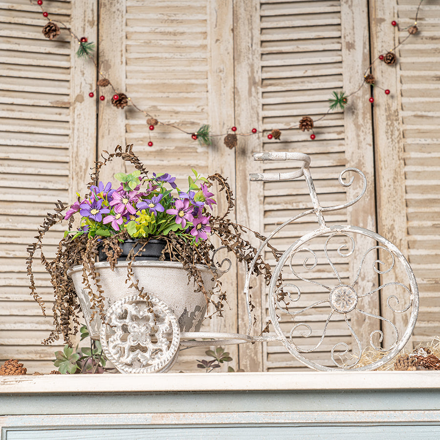 Rustic Bicycle Metal Wire Wall Planter Basket