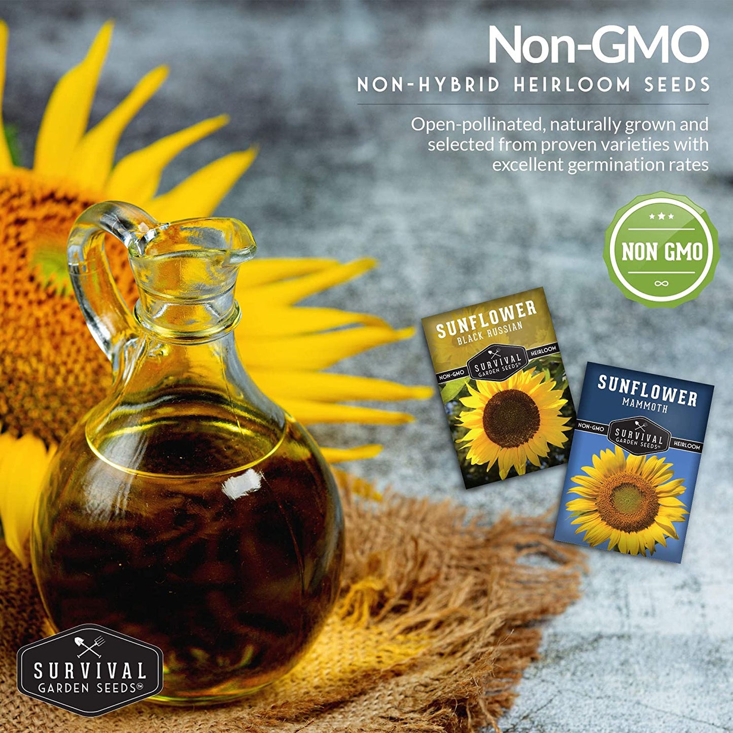 Edible Sunflower Seeds Collection – Mammoth & Black Russian Heirloom Non-GMO Varieties for Roasting, Bird Feed & Towering Garden Displays