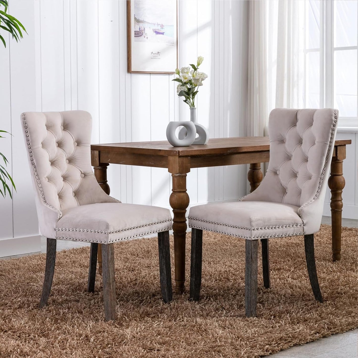 Velvet Dining Chairs Set Of 4 Beige With Ring Pull Trim