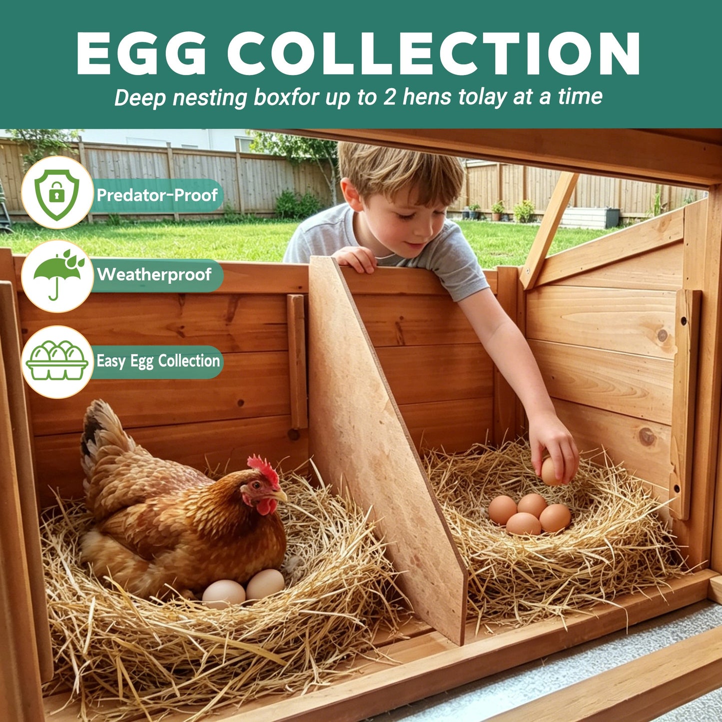 Large Chicken Coop with Run and Nest Box