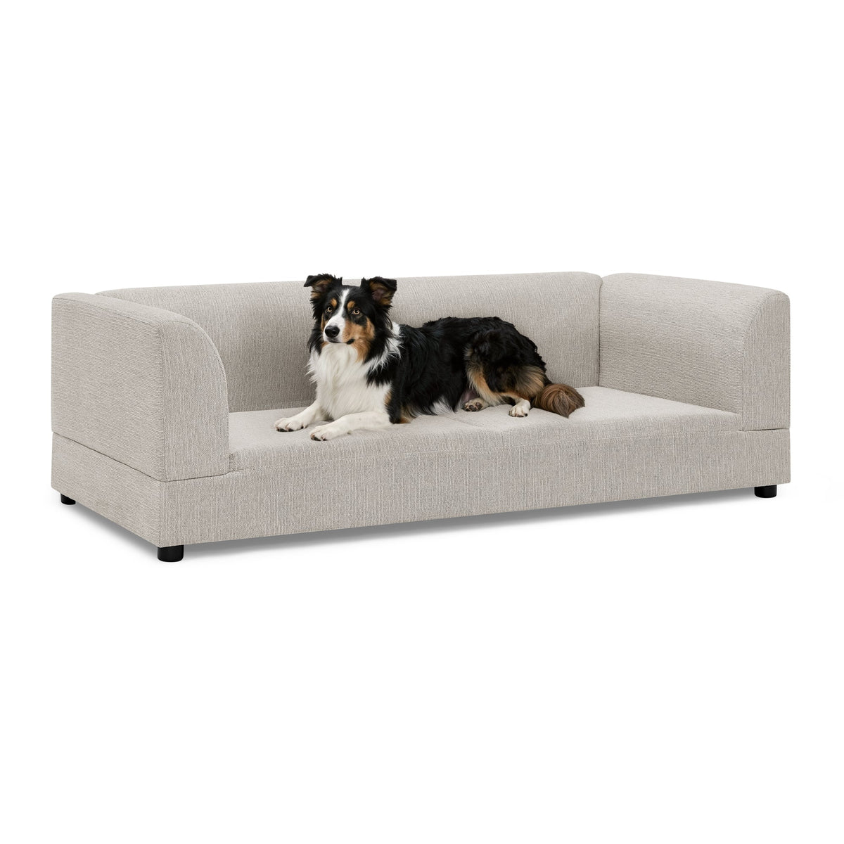 Comfortable Oversized Pet Sofa for Medium/Large Dogs