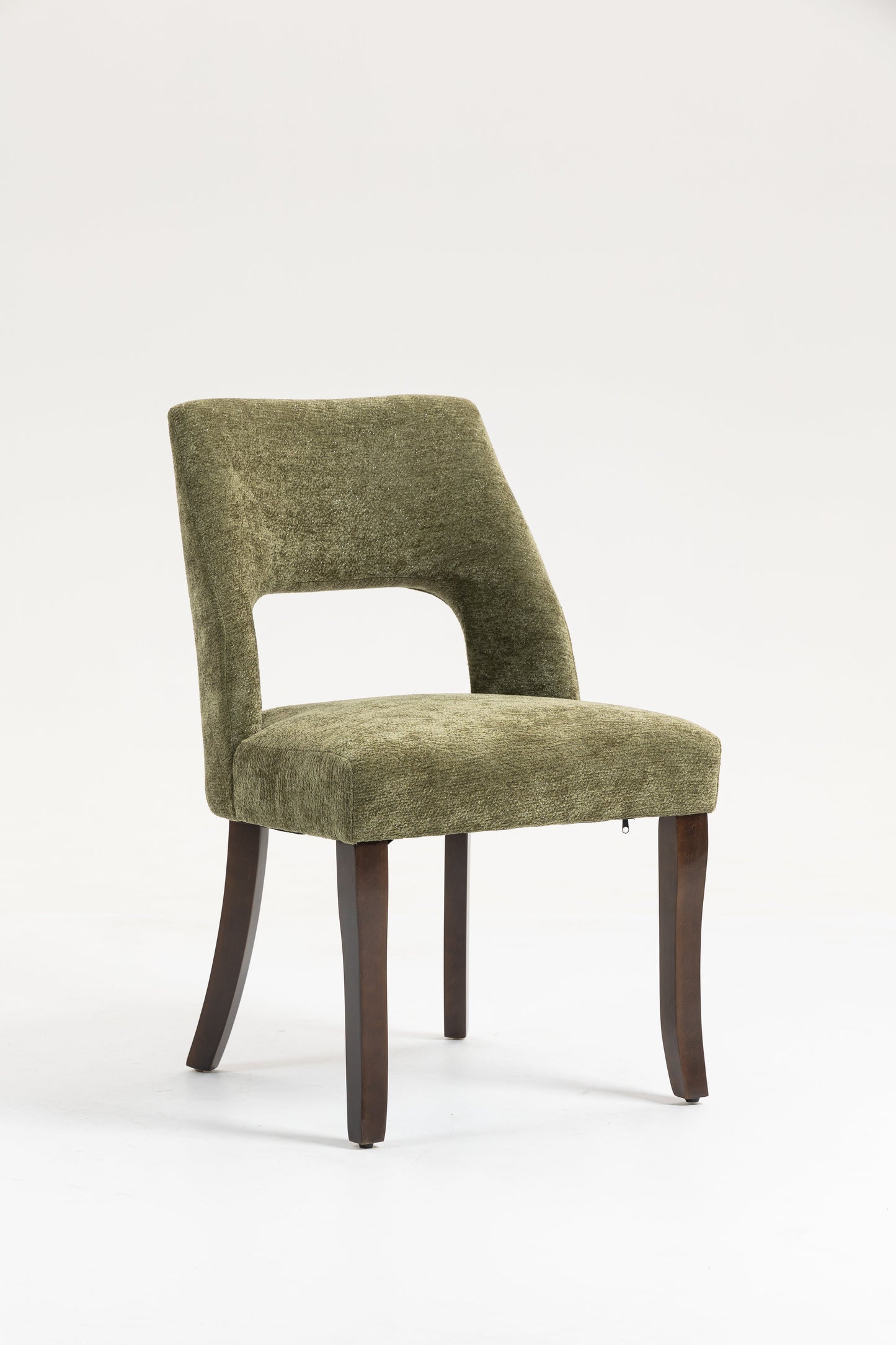Dining Chair Set of 2