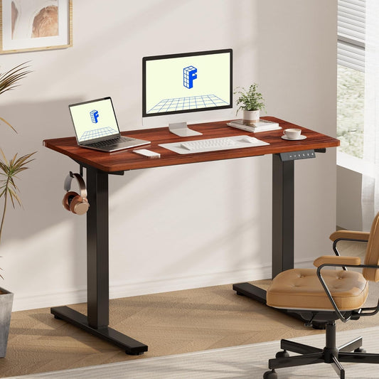 Electric Height Adjustable Standing Desk 48x24 Home Office