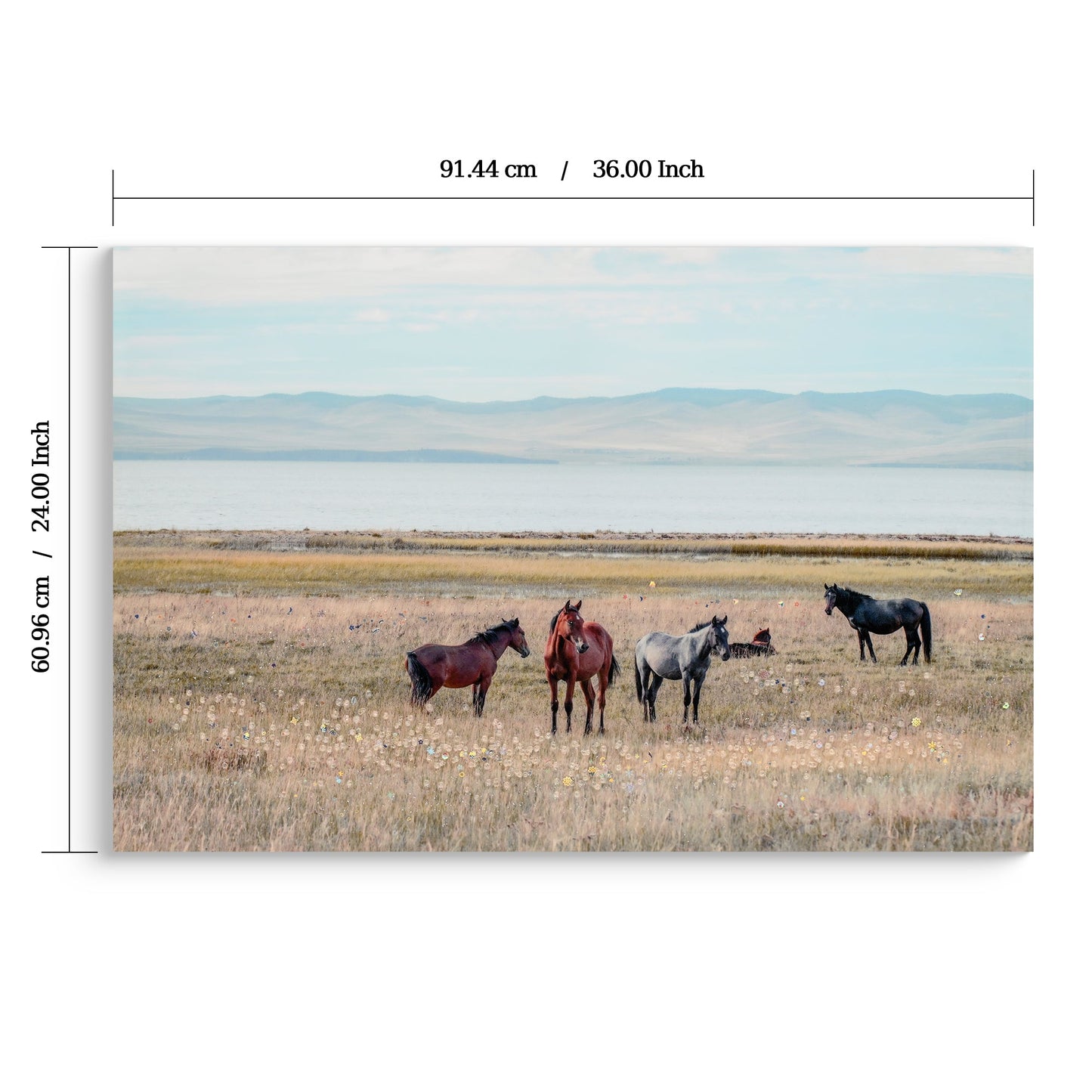 Horse Framed Wall Art Decor: Country Western Farmhouse