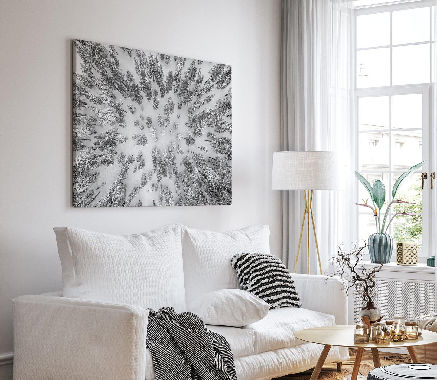 Aerial Forest - Large Canvas