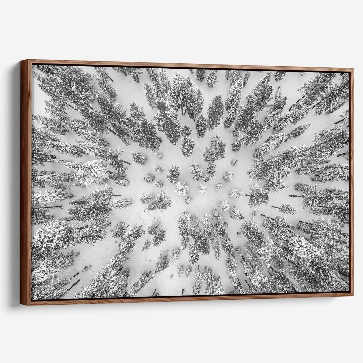 Aerial Forest - Large Canvas