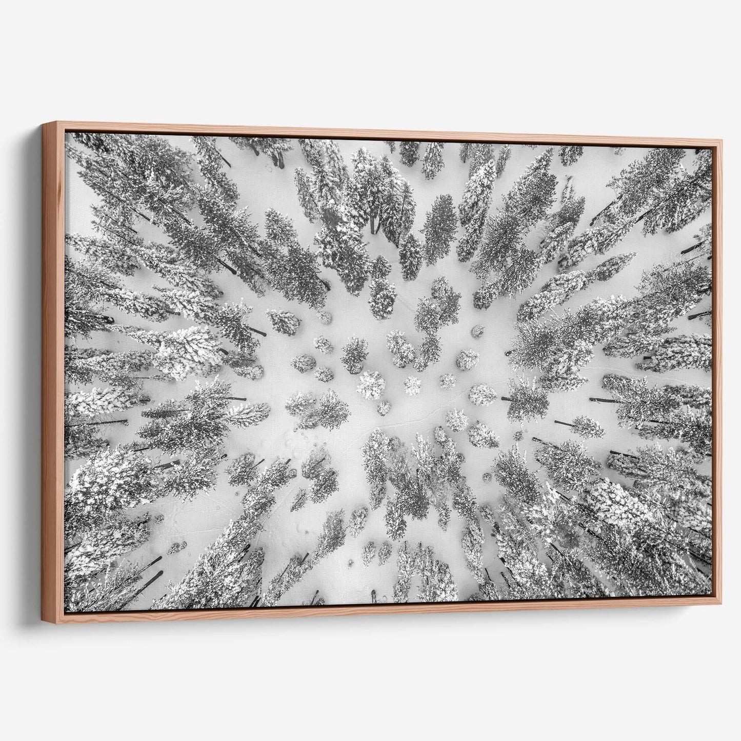 Aerial Forest - Large Canvas