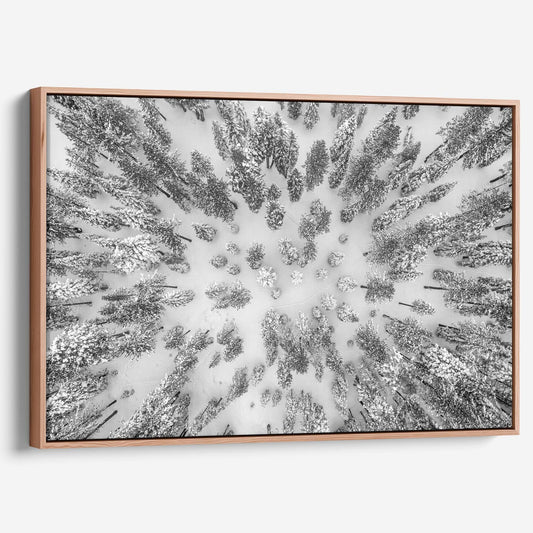Aerial Forest - Large Canvas
