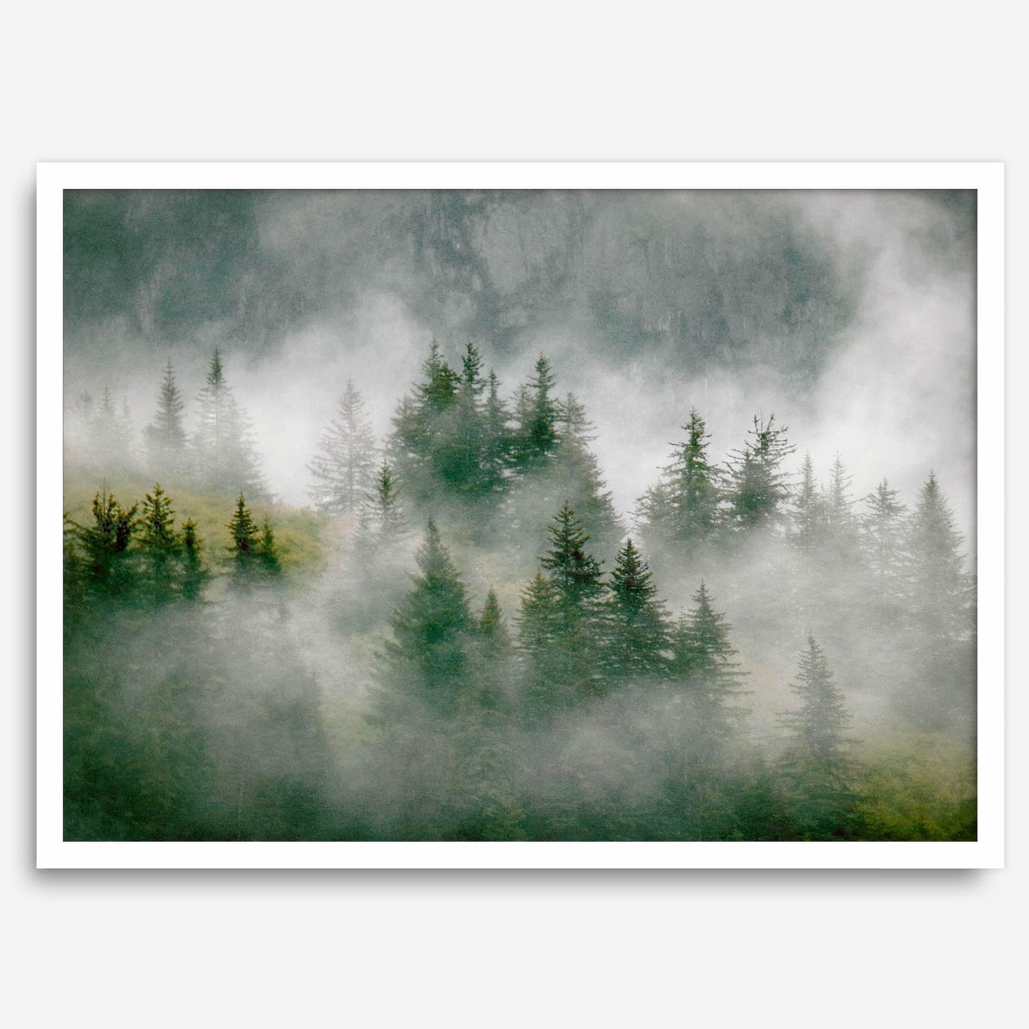 Evergreen Spell