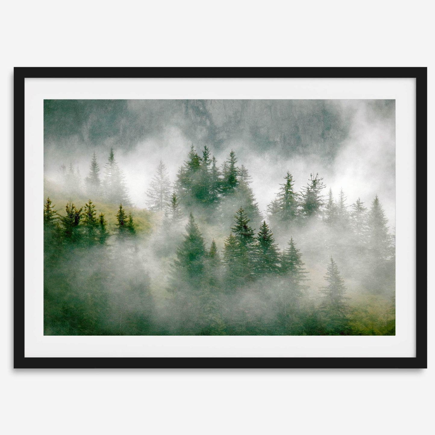 Evergreen Spell