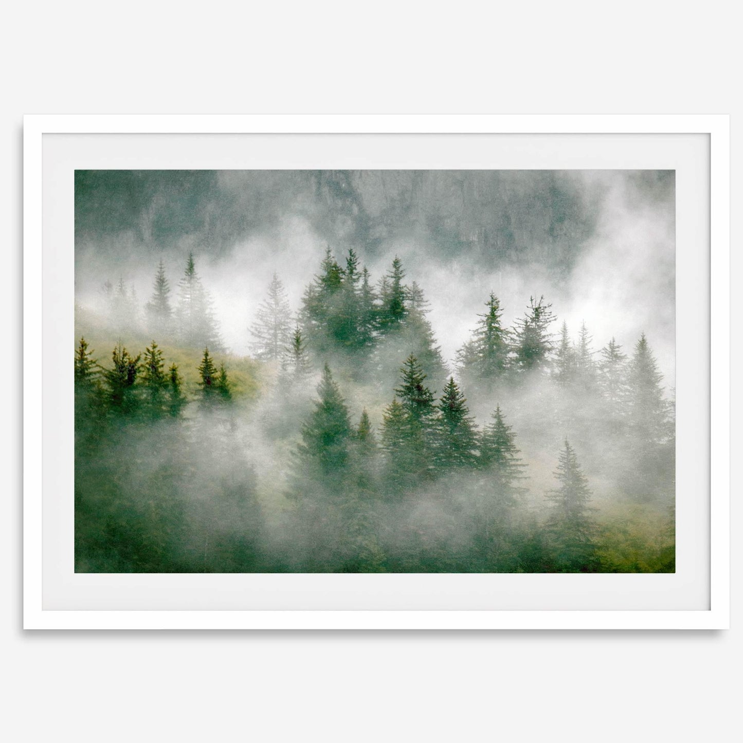 Evergreen Spell