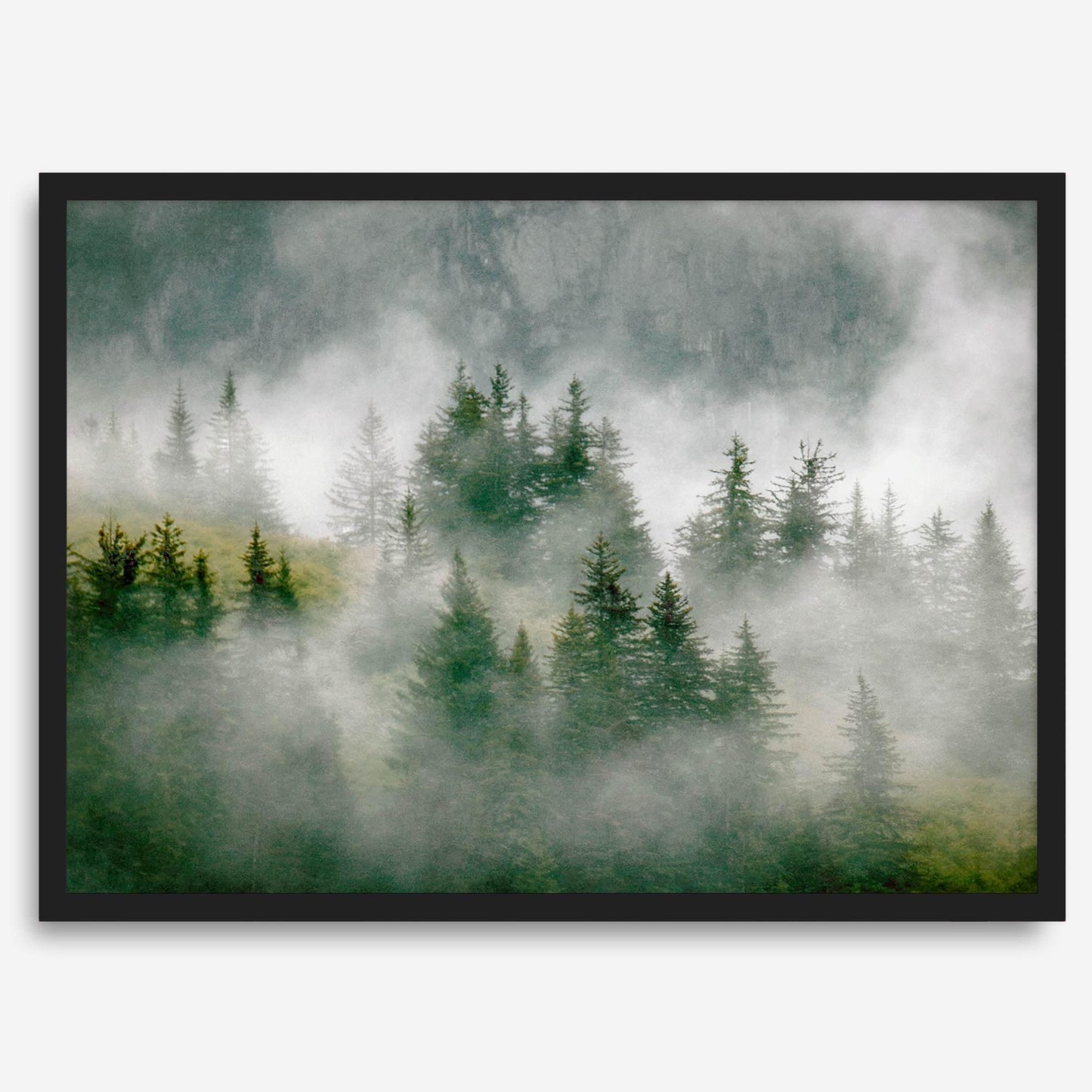 Evergreen Spell