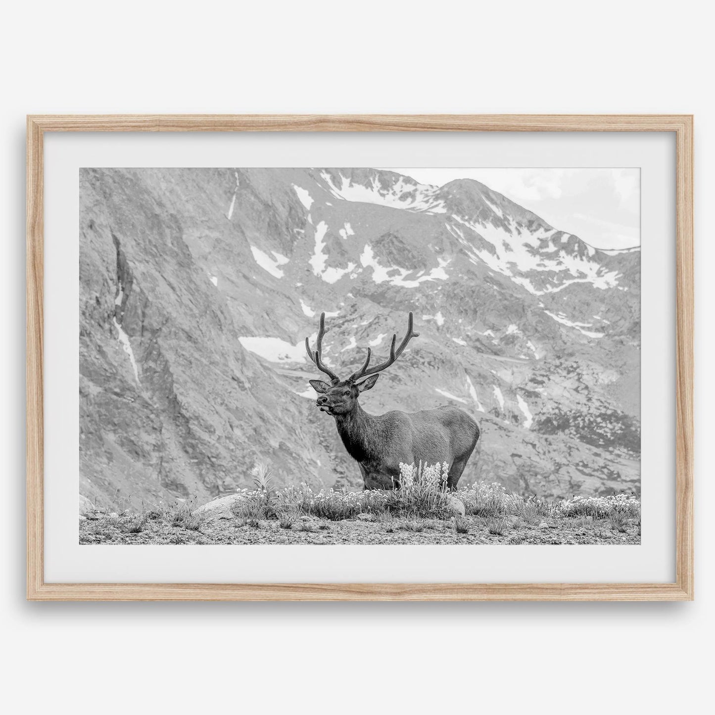 Mountain Song