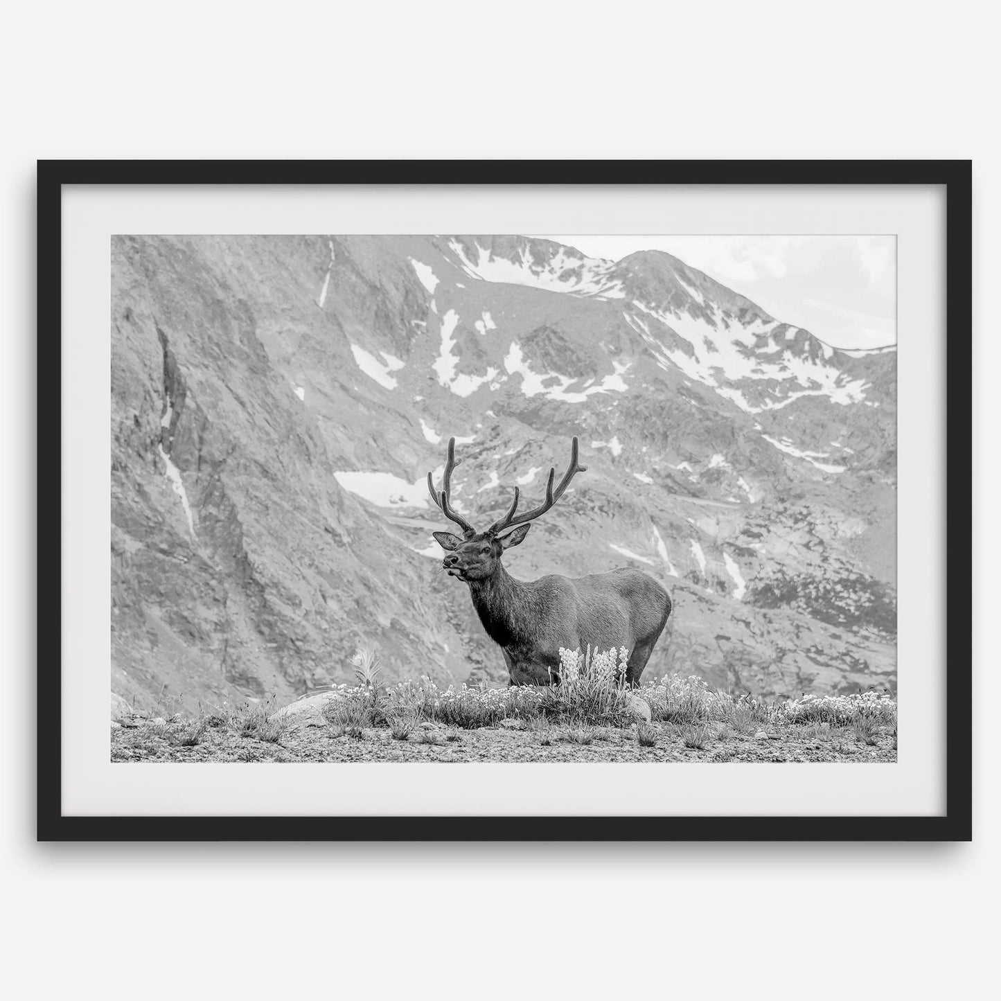 Mountain Song