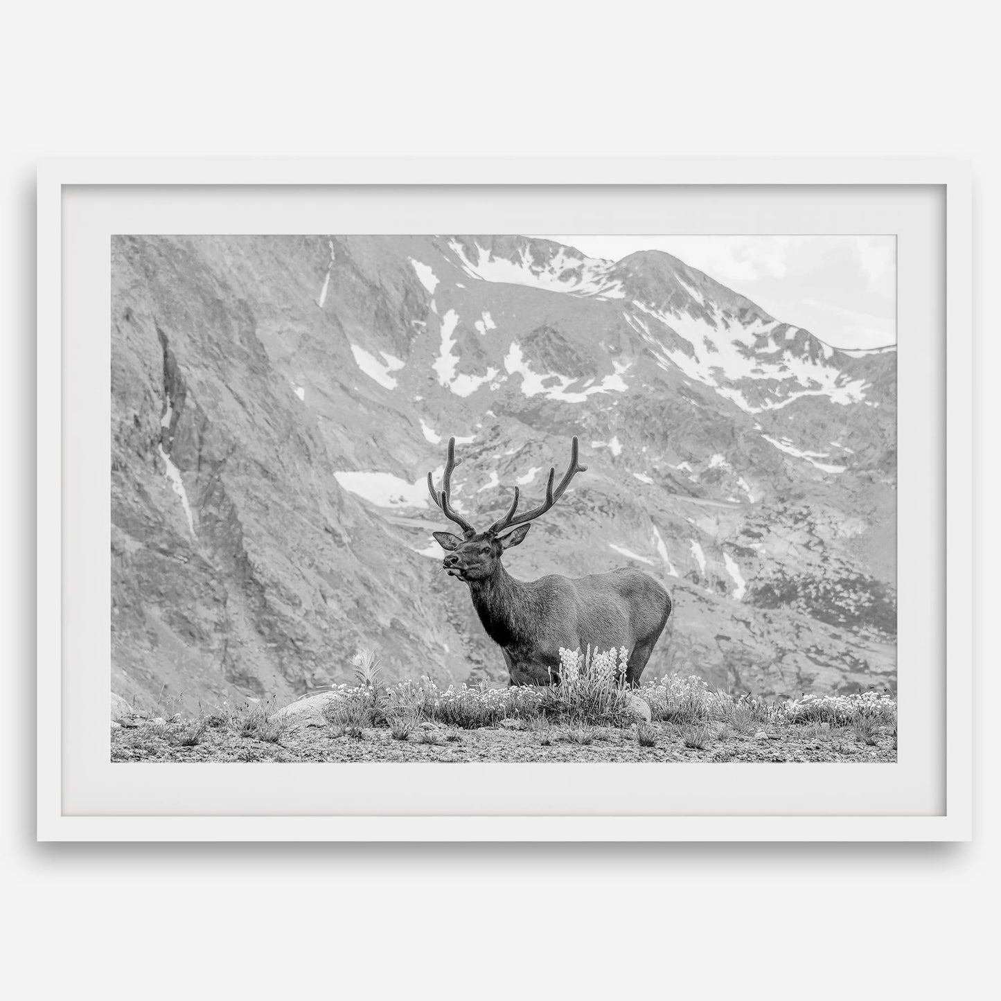 Mountain Song