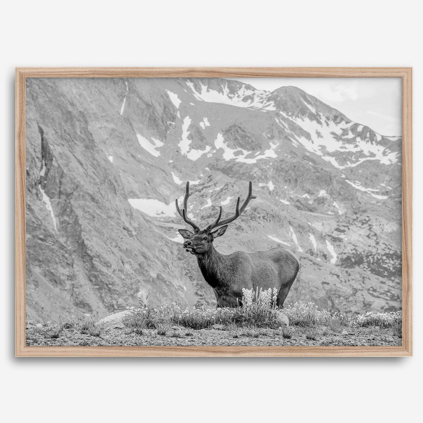Mountain Song
