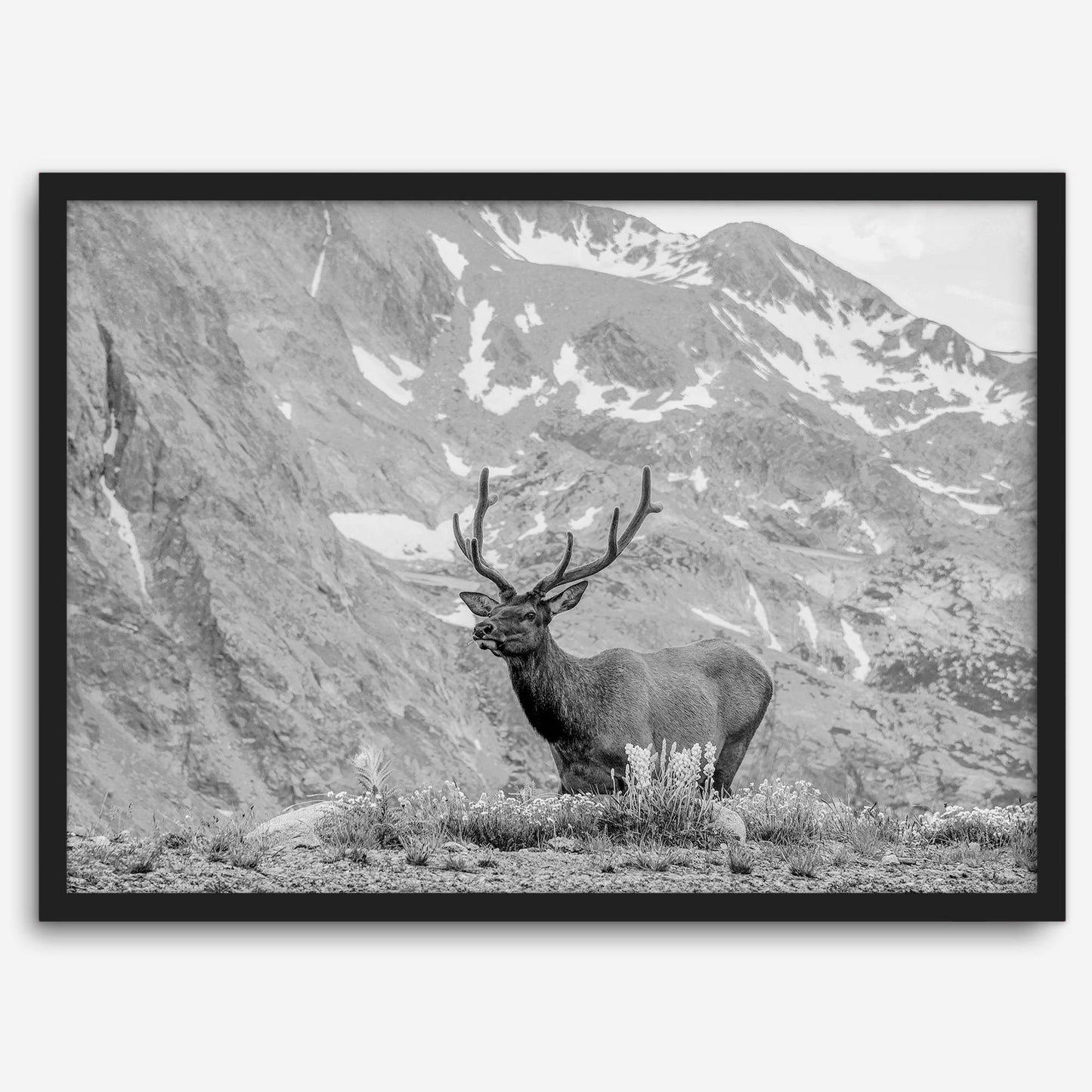 Mountain Song