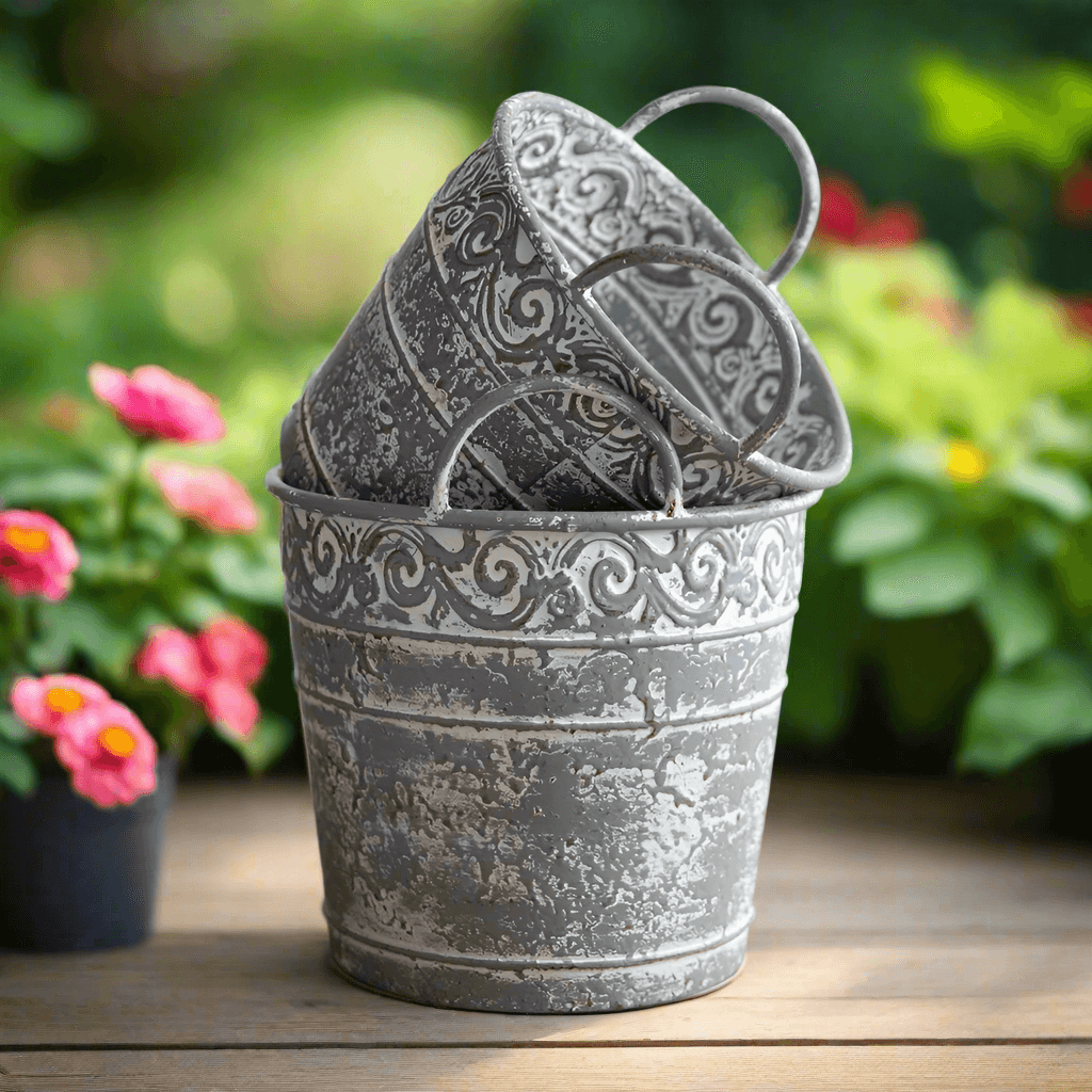 Antique Metal Buckets with Handles (Set of 2)