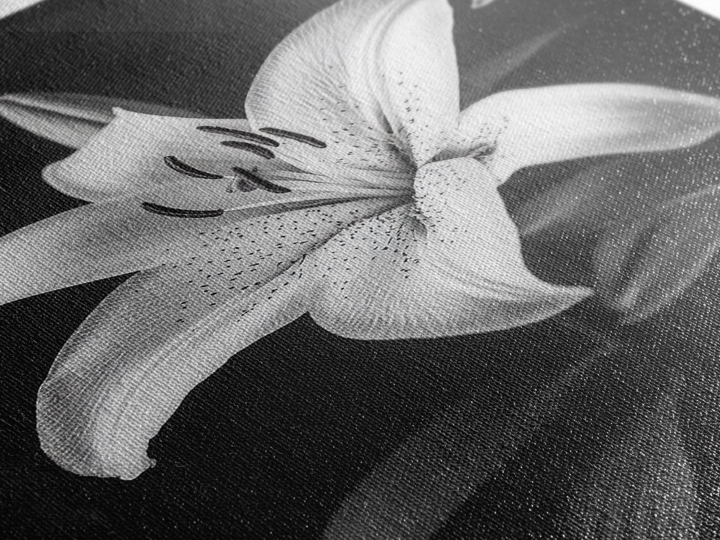 Elegant Lily, Black and White, Floral Beauty, Canvas Print, Botanical Wall Art, Minimalist Art, Bedroom Wall Decor, Nature Photography