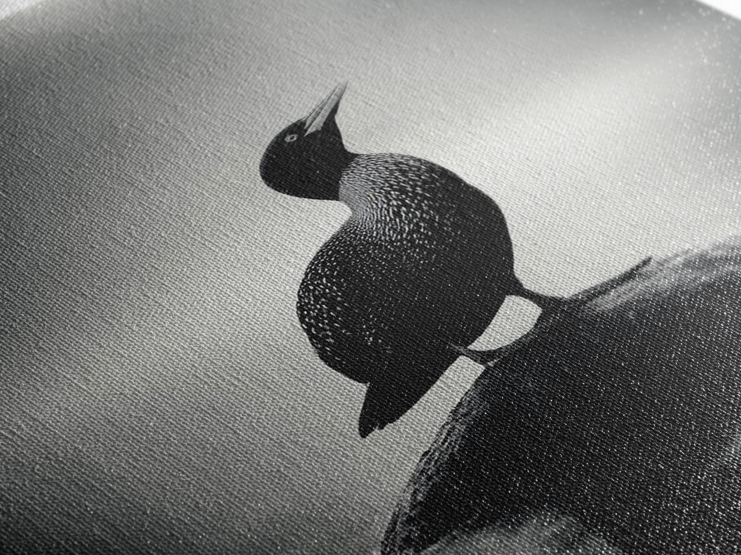 Loon on Rock, Morning Mist, Water Bird Focus, Canvas Print, Minimalist Animal Art, Office Decor, Tranquil Lake Scene Wall Art