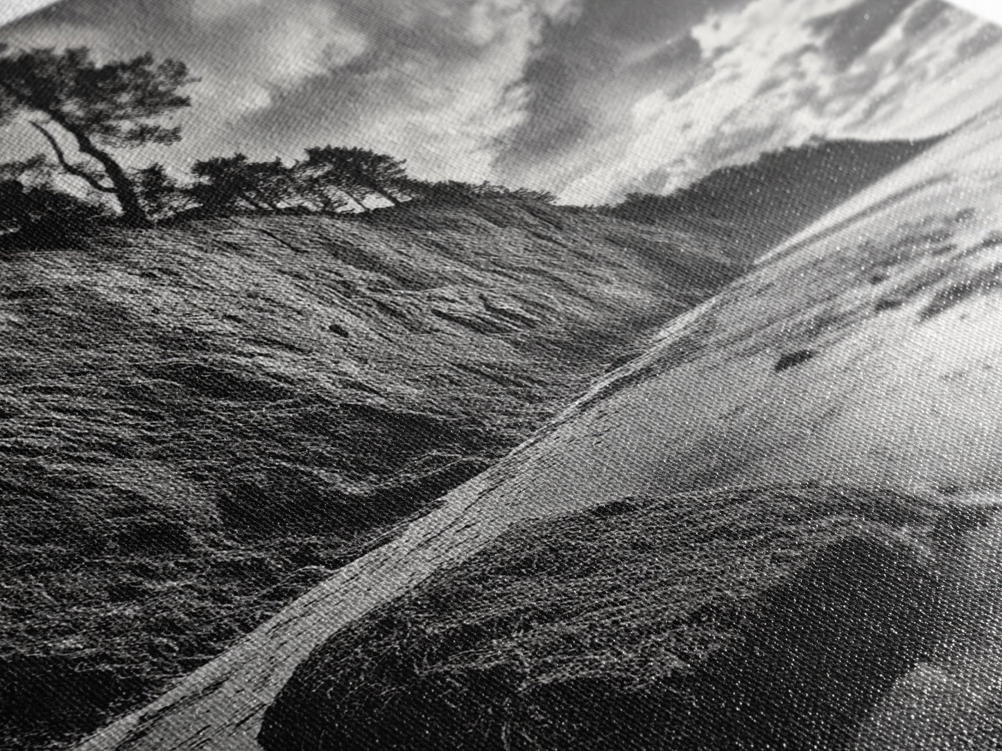 Cliffside Trees, Coastal Horizon, Rugged Seashore, Pacific Northwest Print, Framed Canvas Print, Fall Nature Wall Art, Den Decor