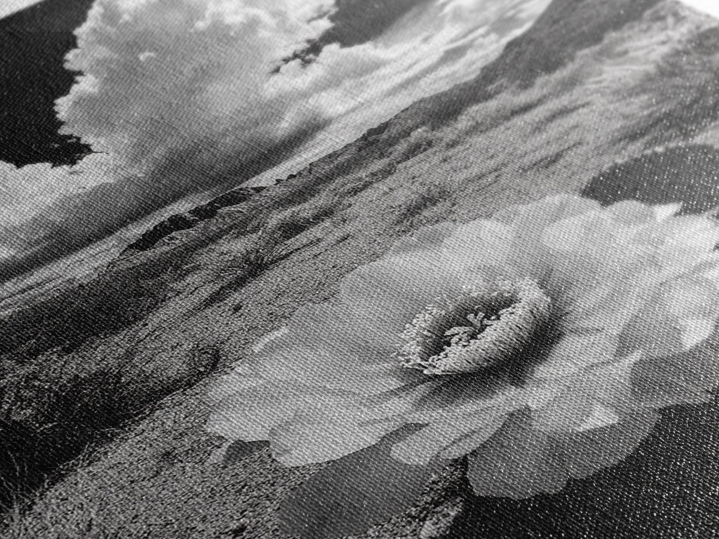 Desert Bloom, Cactus Flower, Bold Nature, Framed Canvas Print, Boho Wall Art, Southwestern Home Decor, Dramatic Desert Photography